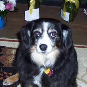 Meet your Posher, Connie